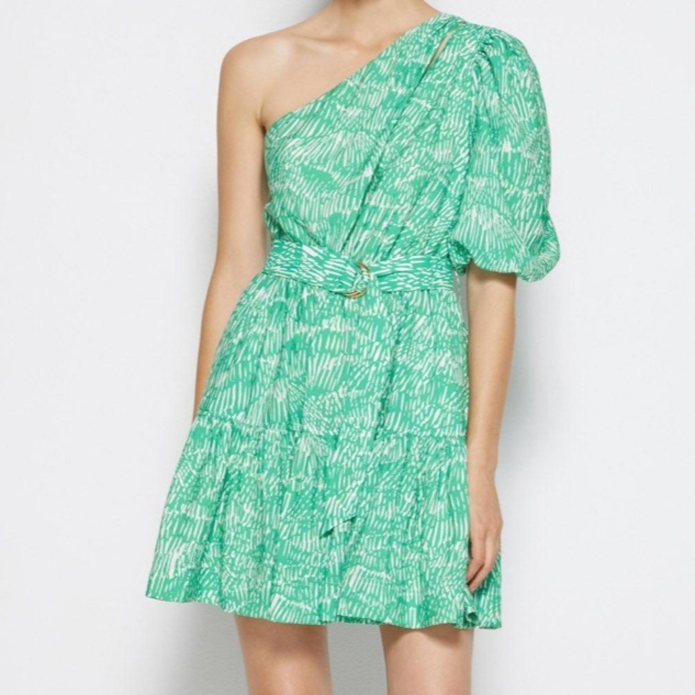 Adriana Mini Dress in Kelly Abstract Fern
SIMKHAI size M - Picture 3 of 9